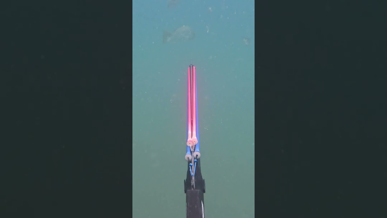 Solo spearfishing huge fingermark snapper on a wrecked plane! 