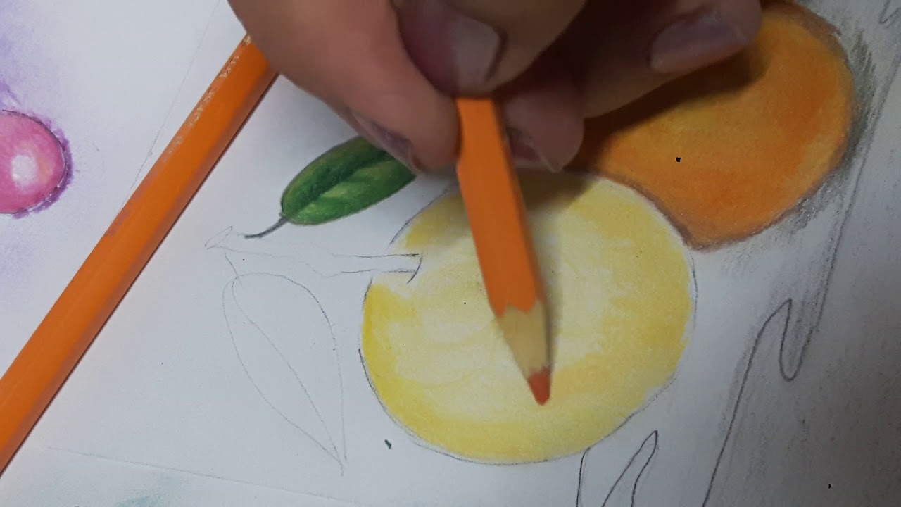 Pintando  Laranjas Com Lápis de Cor - Parte 1