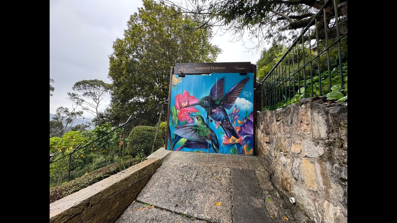Sendero El Paramuno - Observación de aves en Monserrate