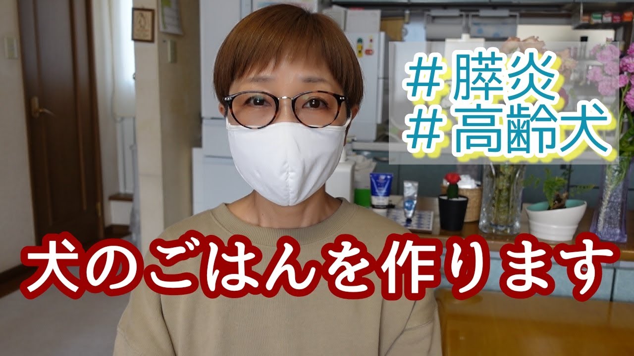 【犬のごはん作ります！＃膵炎＃高齢犬】我が家のワンのごはんです。概要欄も見てくださったら嬉しいです＾＾　膵炎/高齢犬/老犬/シニア犬/手作り食/シーズー