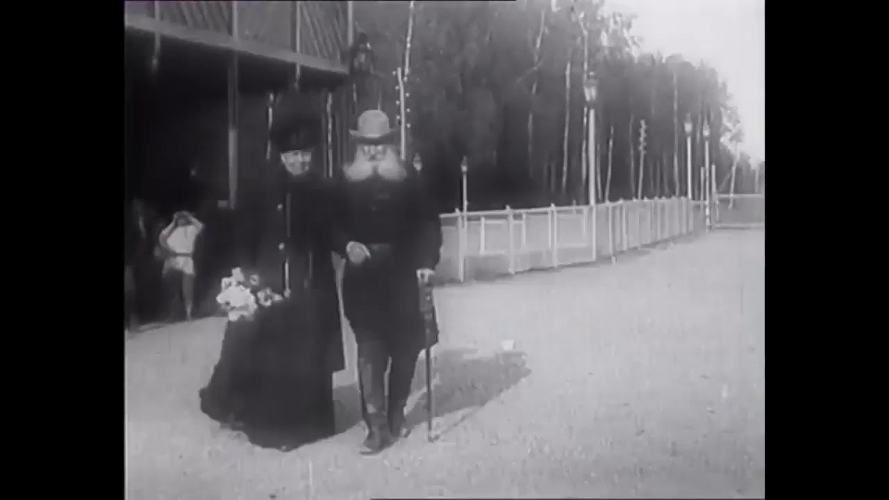 Lev Tolstoy: Devlet &Uuml;zerine (1908)