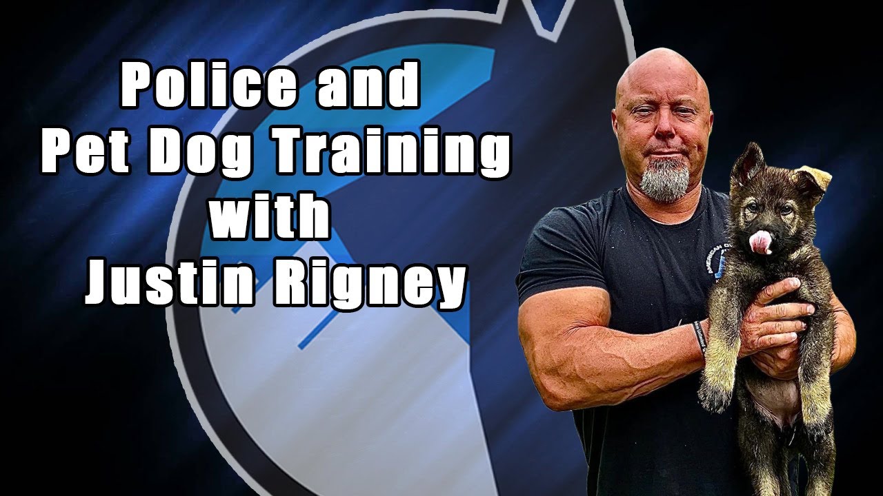 Episode 11 | Police and Pet Dog Training with Justin Rigney