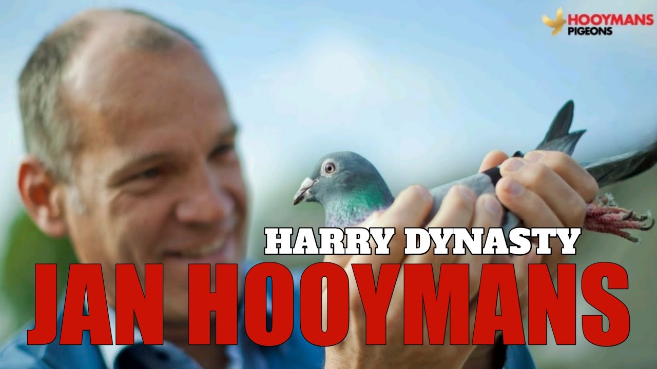 HARRY DYNASTY - JAN HOOYMANS