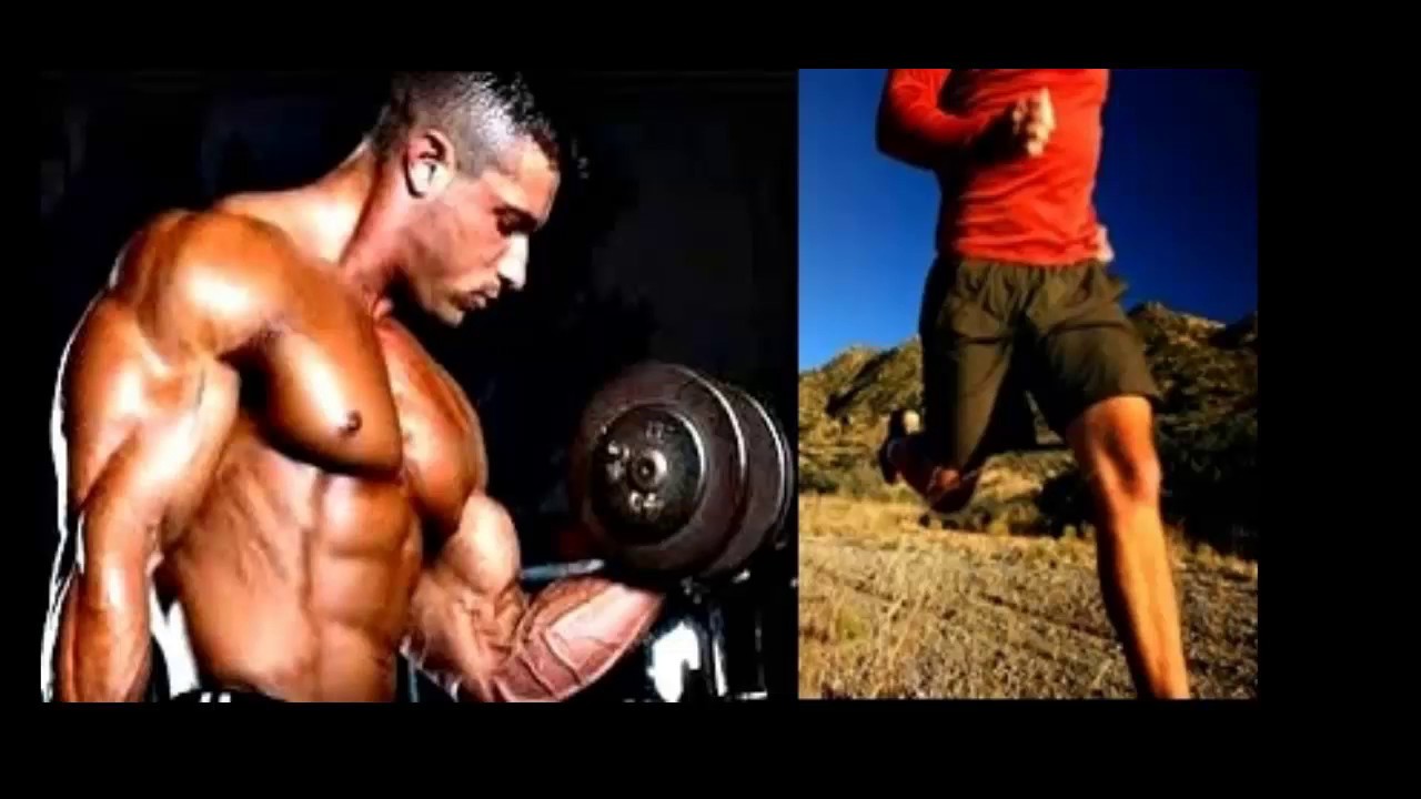 LA IMPORTANCIA DEL ENTRENAMIENTO DE FUERZA