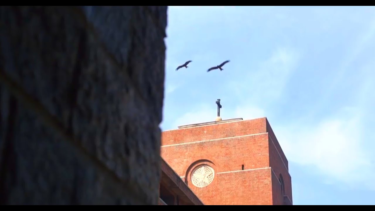 Harmony Video 2020 | St. Stephen's College | The Cine Club