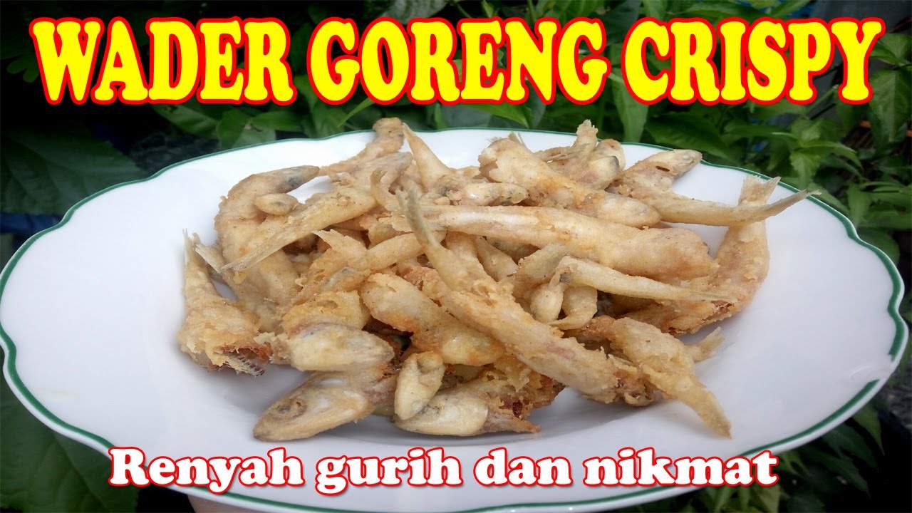 Resep Wader Goreng Crispy, Tanpa Bp Tanpa Tepung Crispy