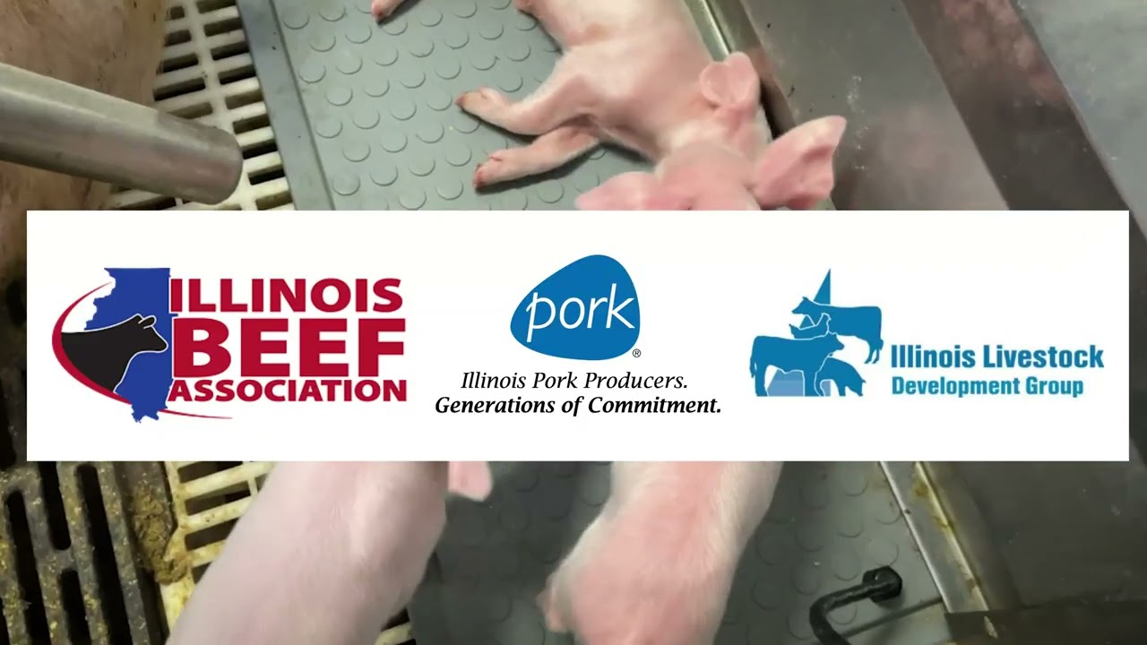IL Corn Priority - Livestock