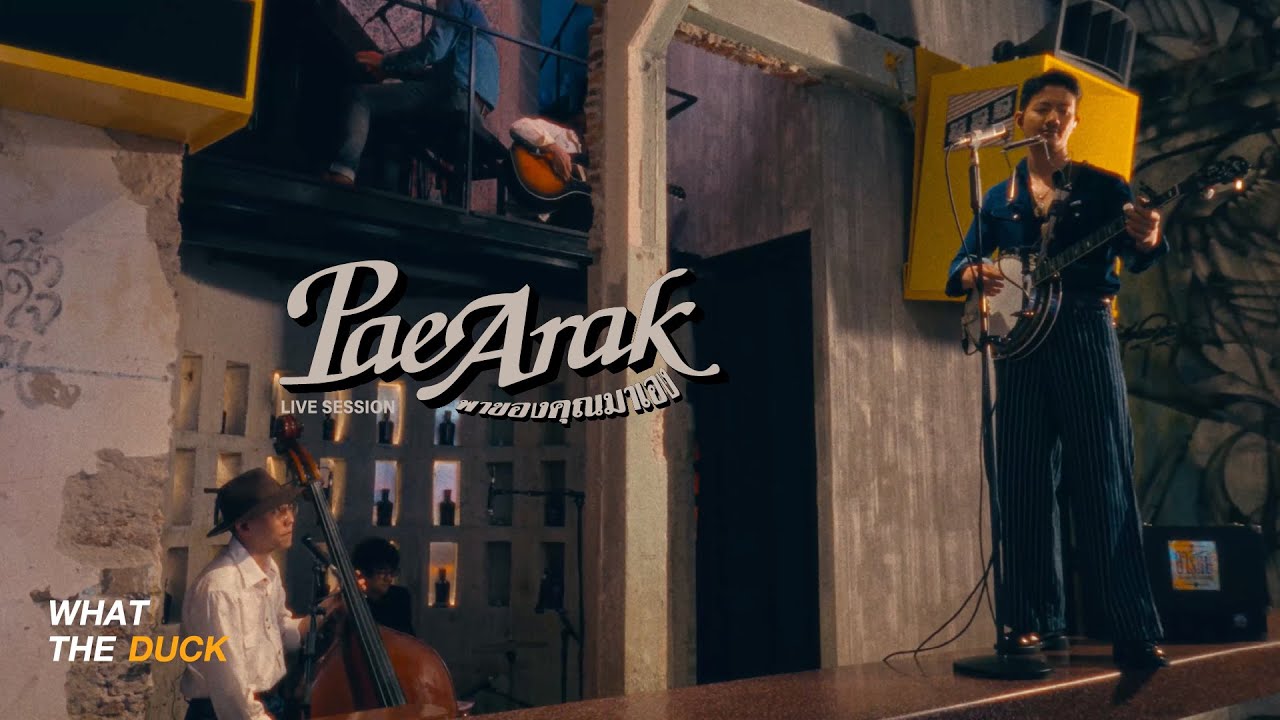 Pae Arak - พาของคุณมาเอง (Live Session)