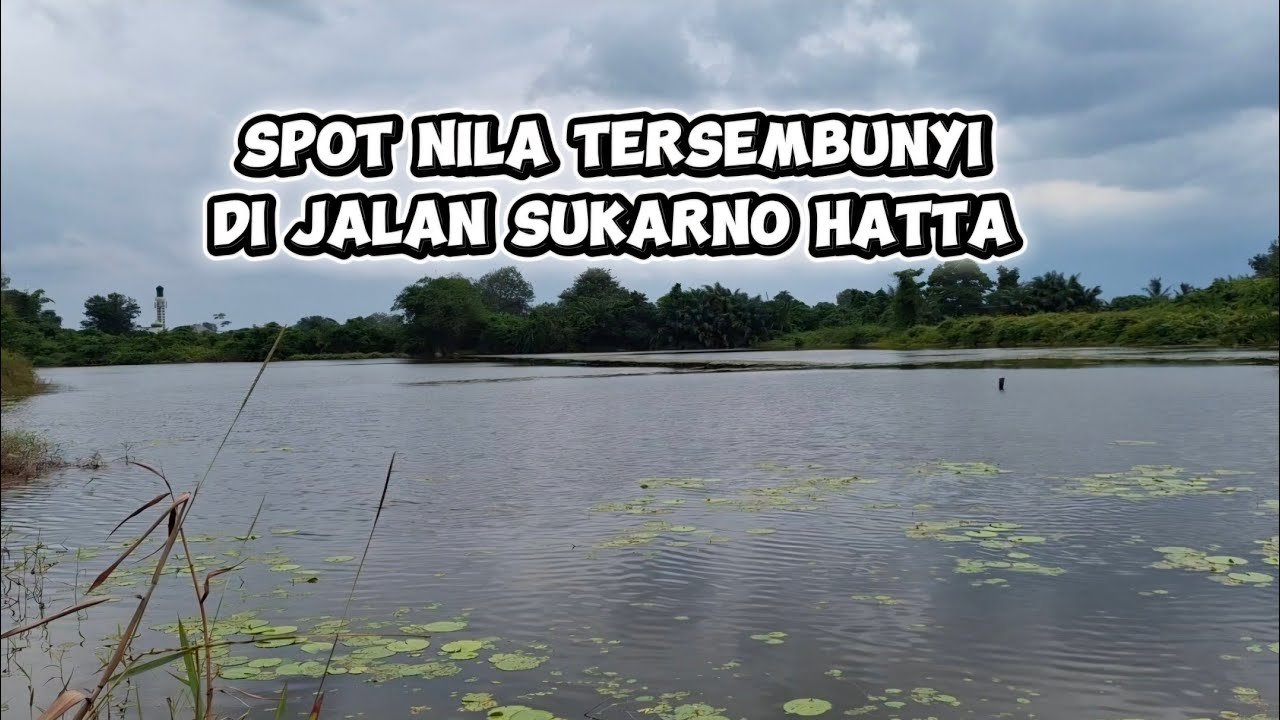 Spot mancing nila dan casting di jalan sukarno hatta palembang, info spot mancing palembang