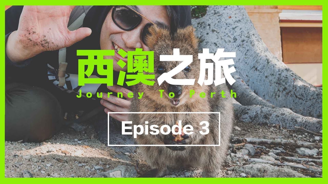 【秒速溶化😍】識自拍對鏡頭笑既cute爆袋鼠🐿️｜西澳之旅｜Day 3+4