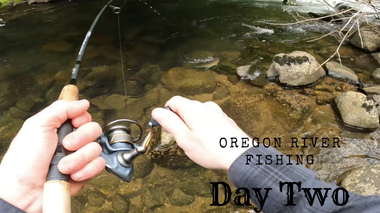Spring on the Oregon Coast: Day Two