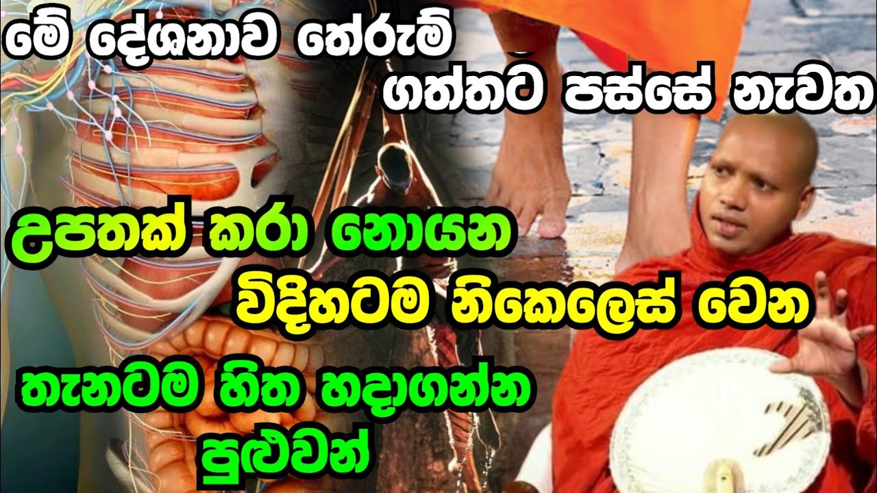 මෙච්චර ගැබුරු දේශනාවක් ඕනේ කෙනෙකුට තේරුම් ගන්න පුළුවන් විදිහට.hasalaka seelawimal හසලක සීලවිමල හිමි.