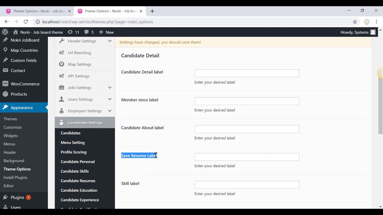 Theme Options of Nokri Job Board Wordpress Theme