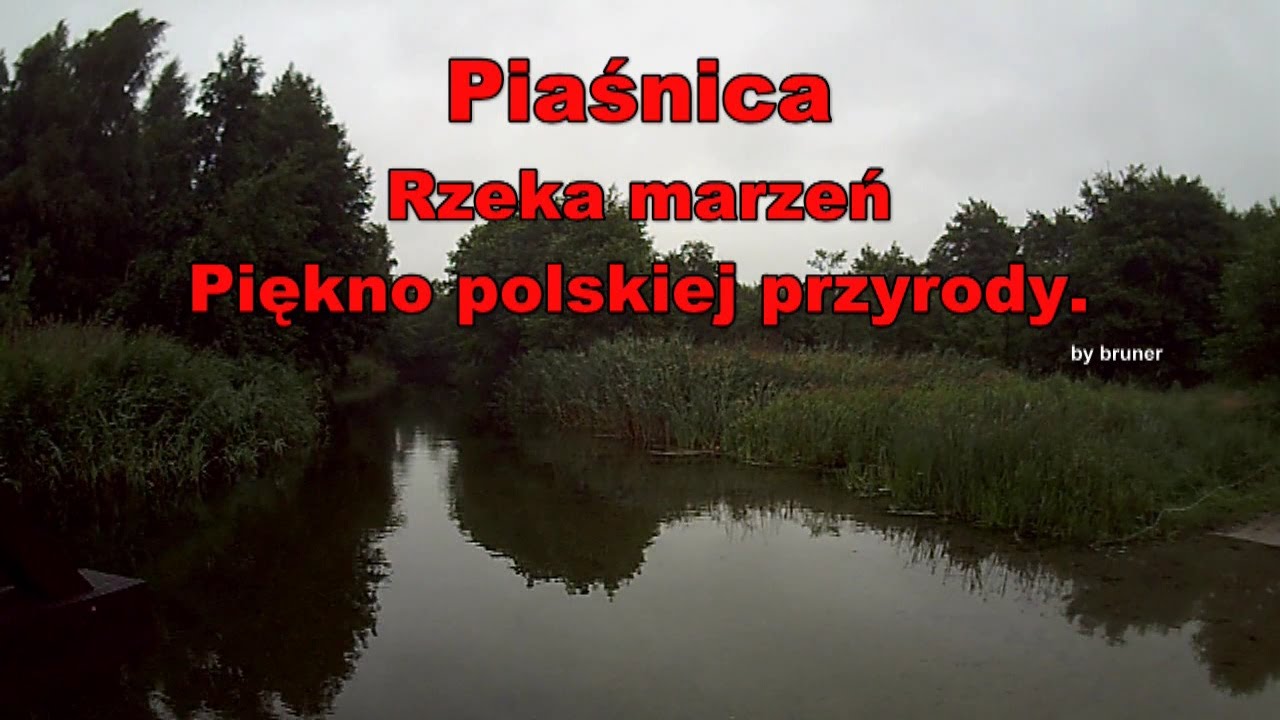 Piaśnica. Rzeka marzeń. / Piasnica - the river of dreams.