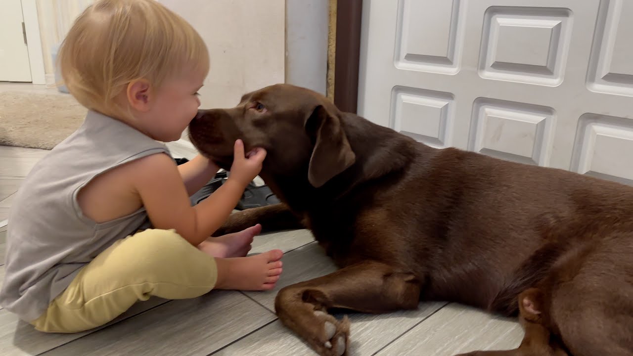 No One Can Stop This Baby from Kissing His Dog