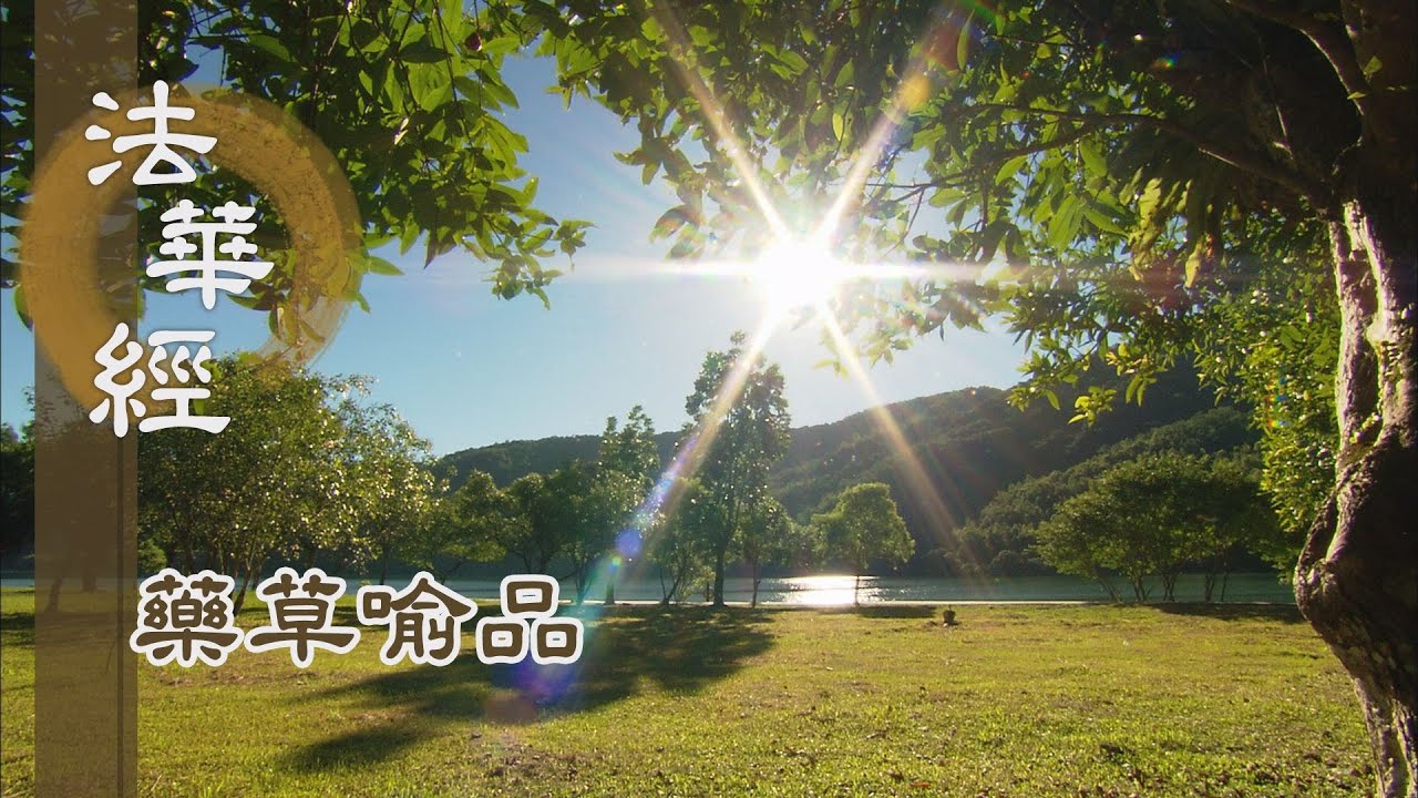 【靜思妙蓮華】法華經藥草喻品 - 究竟涅槃 常寂滅相 - 20210712 第893集