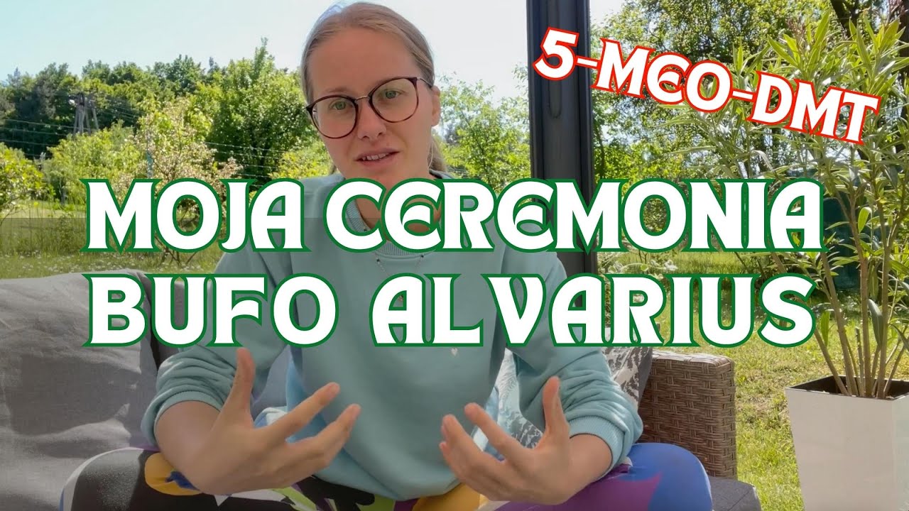 Moje doświadczenie z Bufo Alvarius w Meksyku 5-Meo-DMT