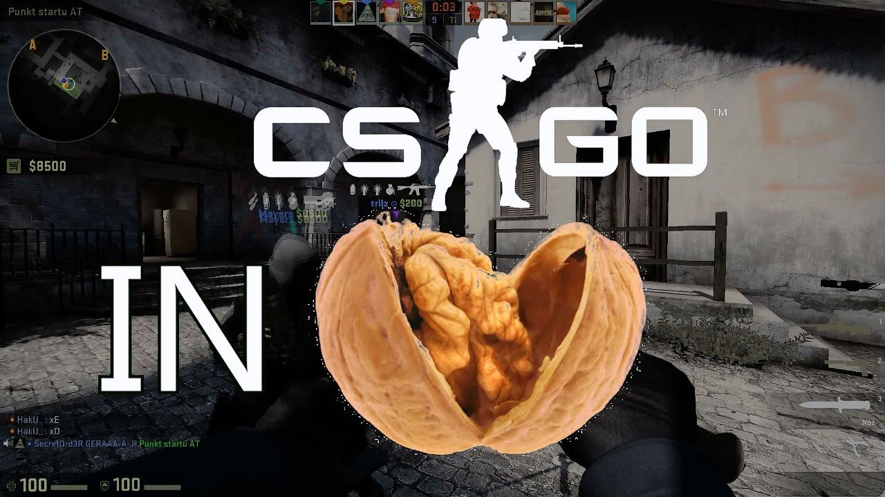 CS:GO in a nutshell