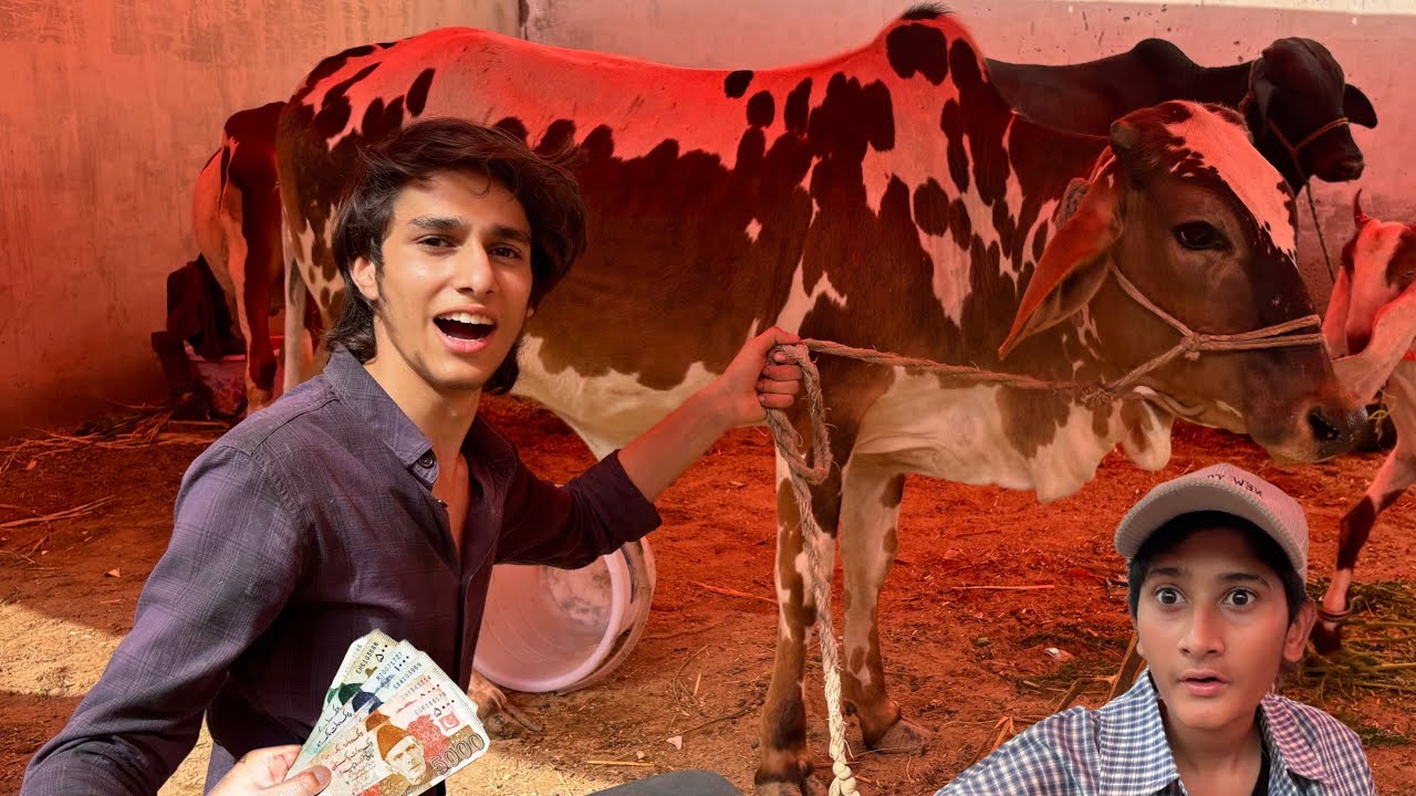 Qurbani ka Janwar Leliya Youtube income se Alhumdulilliah🐄😍
