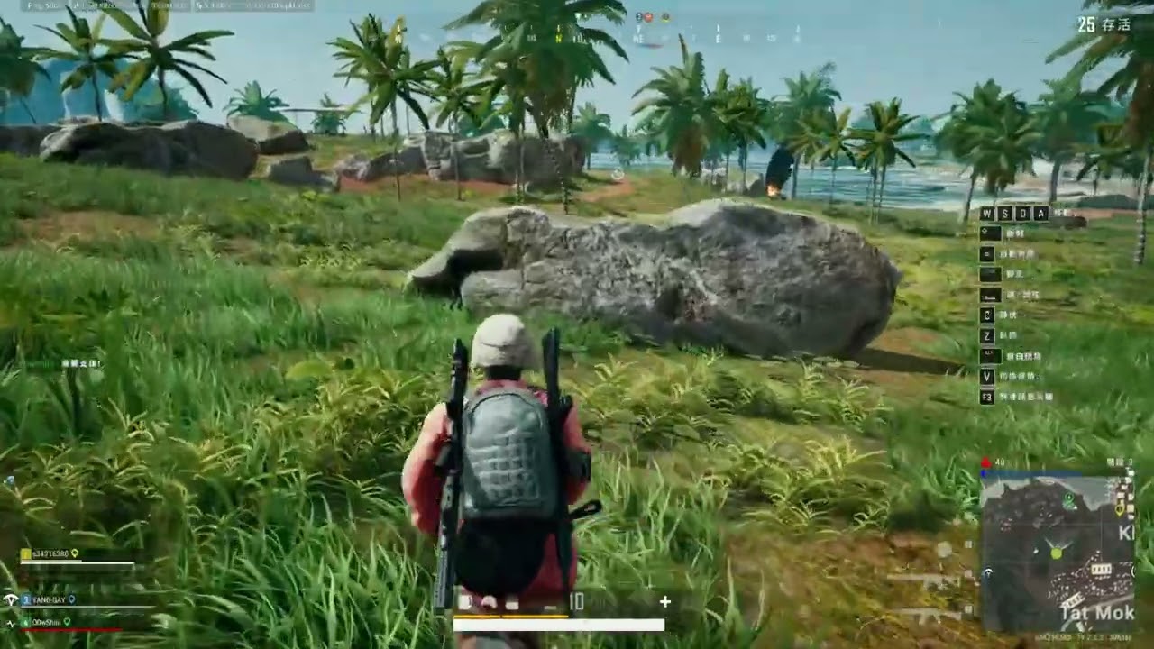 當一個救援任務 遇到了三寶 #pubg #funny #gaming