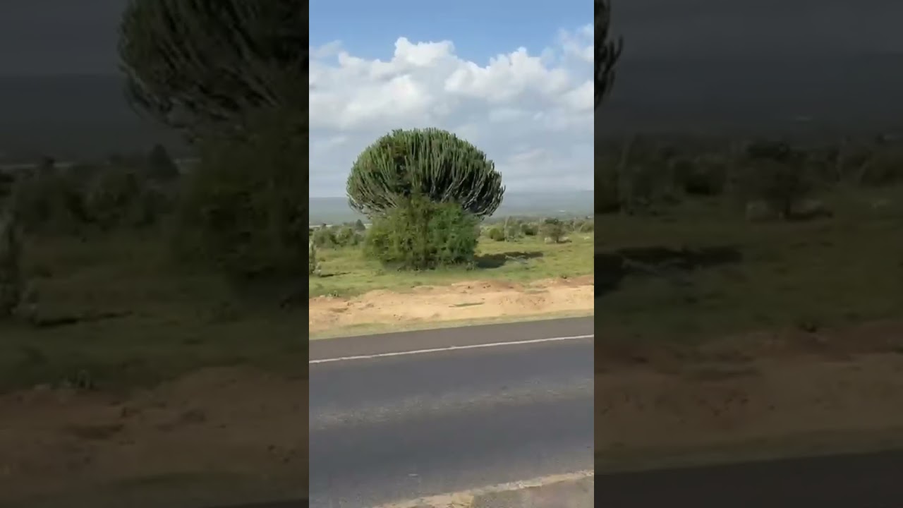 First time in Africa #TravelAfrica   #AfricanAdventure #TravelVibes #NatureLovers #ExploreTheWorld