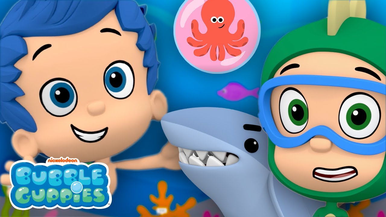 What Type of Animal is Zooli's New Pet? | 