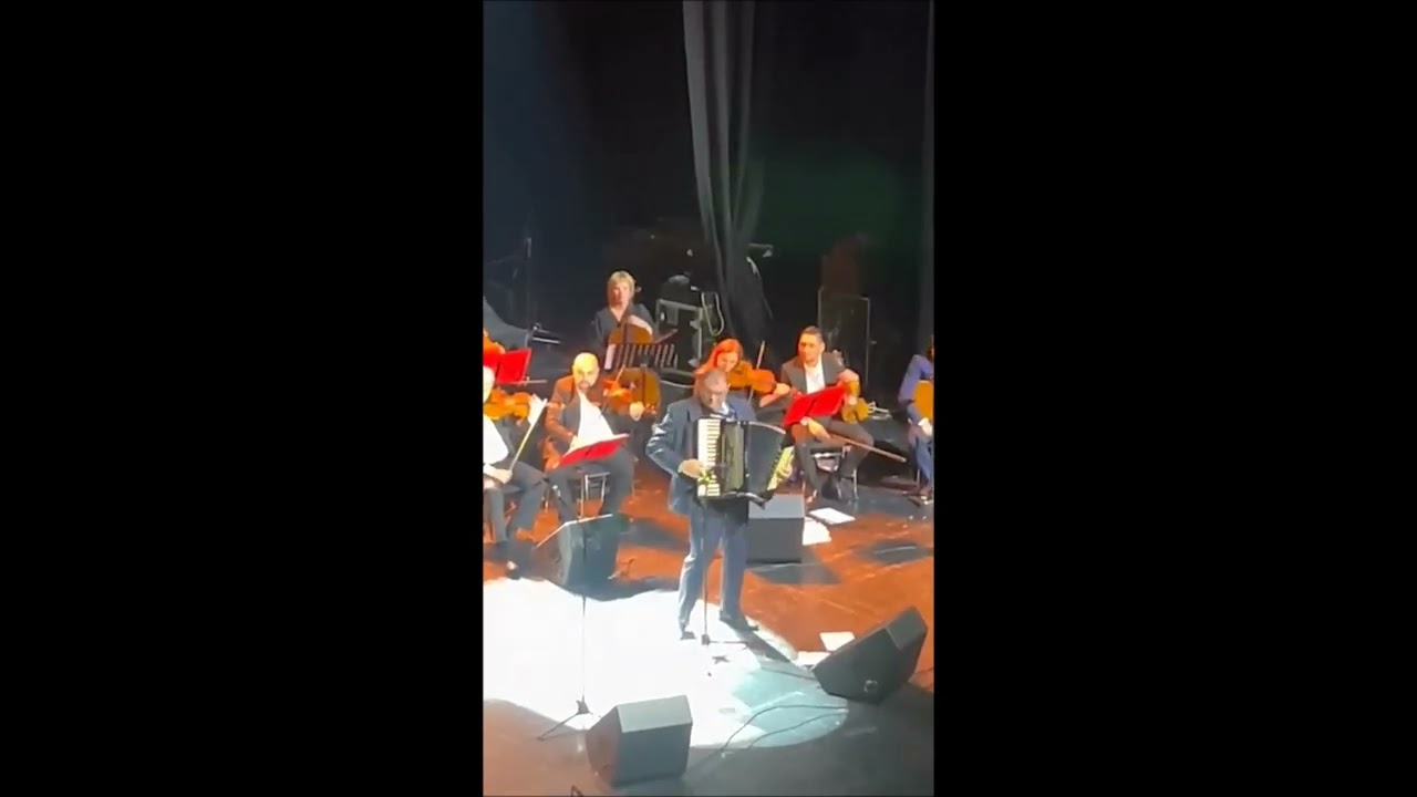 Bane Vasić na koncertu 