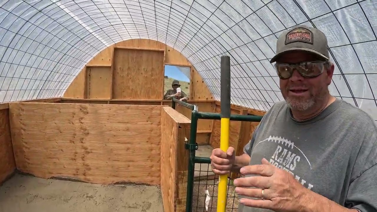 Concrete, Comedy & Critters: Building the Pig Palace