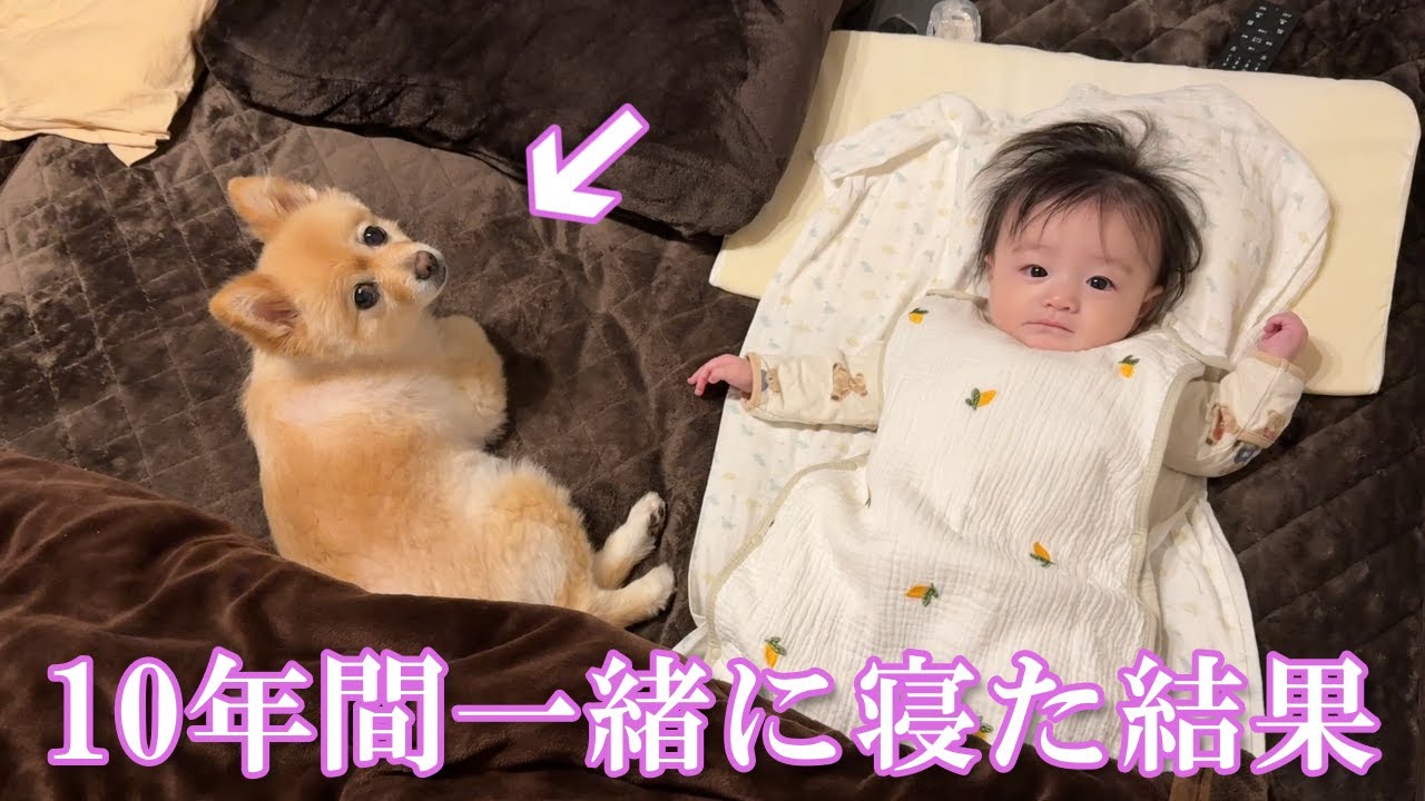 【モニタリング】10年間一緒の布団で寝てきた結果こうなりました&hellip;