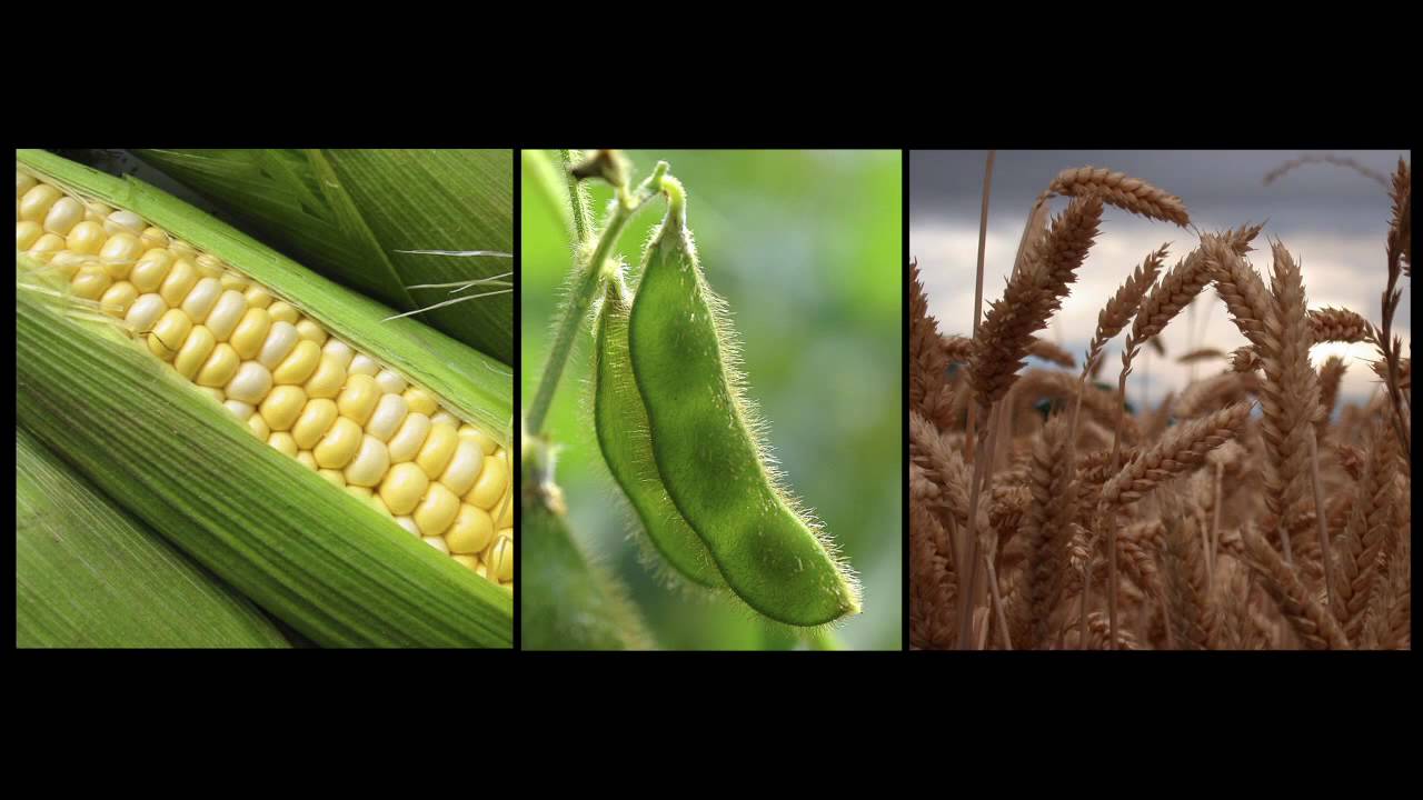 Triple J Hack - Western QLD 2010 - 'Farming Vs Mining'