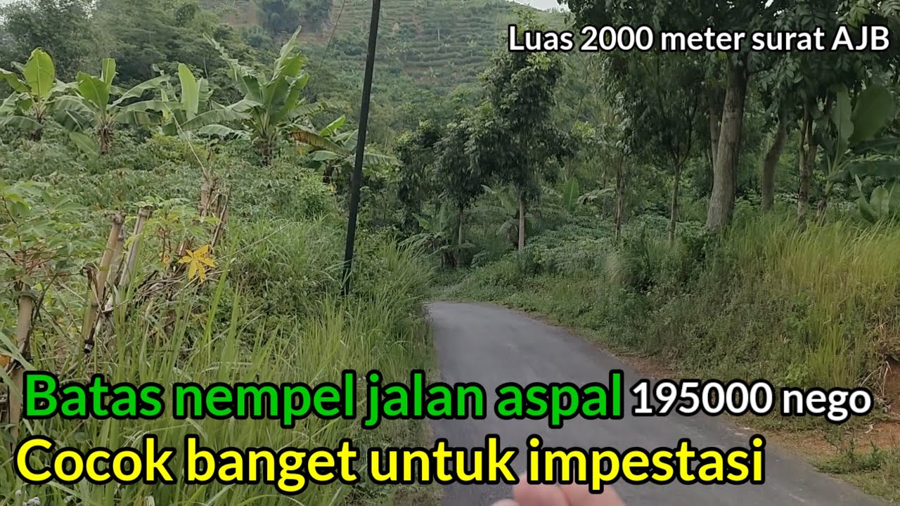 Impestasi di jamin untung‼️Beli tanah pinggir jalan 2000meter cuma195000/meter nego