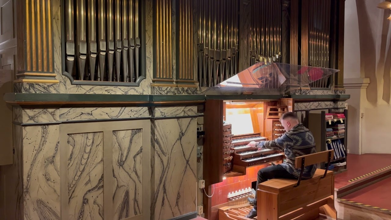 Lars Egebjer: Cavatina pro organo. Henrik Berg, organ.