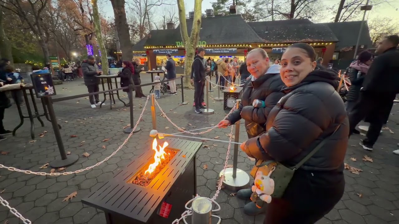 BRONX ZOO holiday lights 2025 walking tour review New York City Christmas ￼