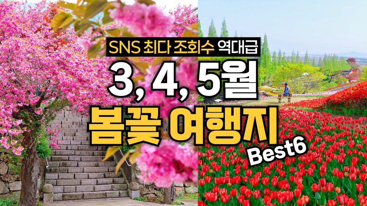 3·4·5월 꼭 가야 할 국내 봄꽃 여행지 모음 🌷김천 연화지 벚꽃/ 경남 겹벚꽃 명소/ 유채꽃/ 충남 튤립 각원사 겹벚꽃 등 🌸