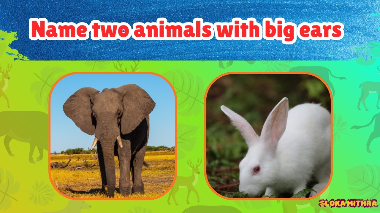 Animal Quiz for Kids | Name Two Animals Game | Fun GK Learning