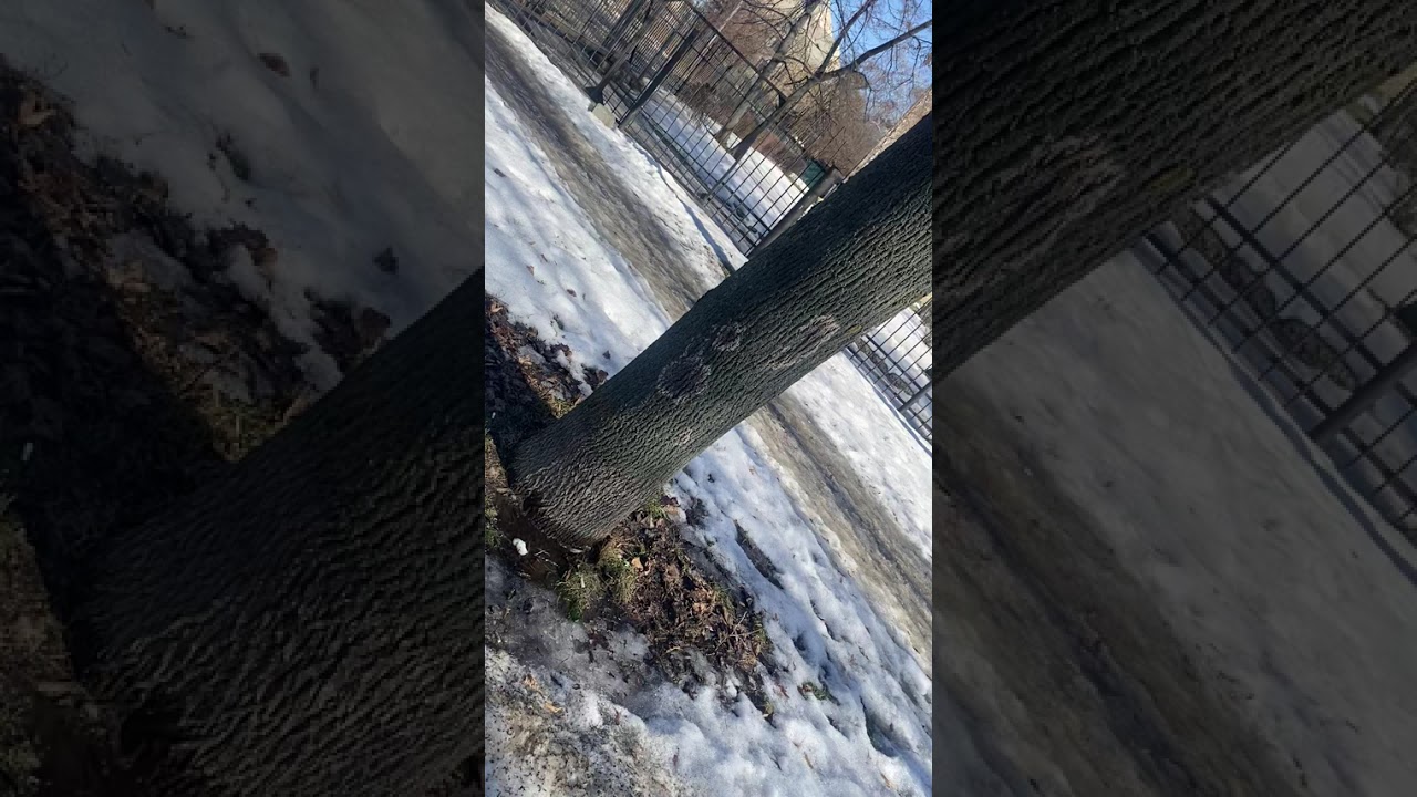 молим Бога за дітей і батьків