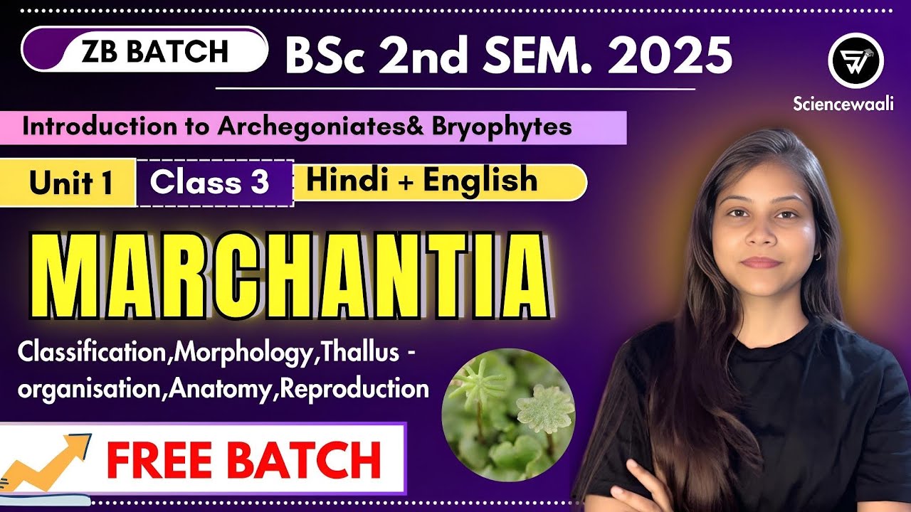 Marchantia bsc 1st year 2nd semester unit 1 🔥💯 Morphology Anatomy & Reproduction|ZB Batch