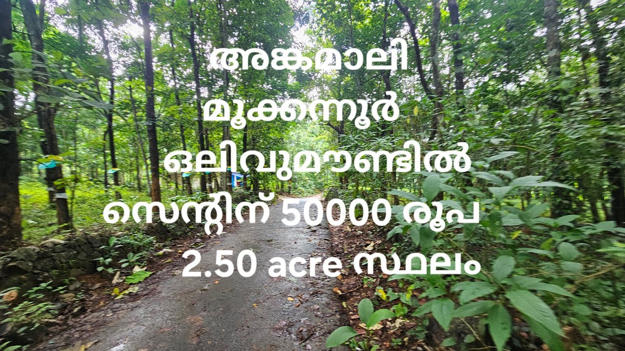 2.50 acre LAND FOR SALE ANGAMALY MOOKKANNOOR -OLIVEMOUNT RS 50000 PER CENT CONT 9847706931