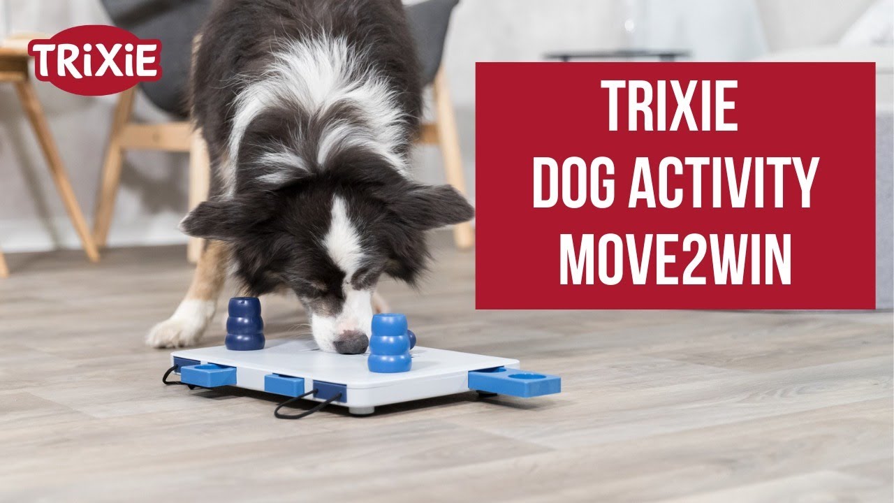 🧠 TRIXIE Dog Activity Move2Win &ndash; Intelligenzspielzeug f&uuml;r clevere Hunde