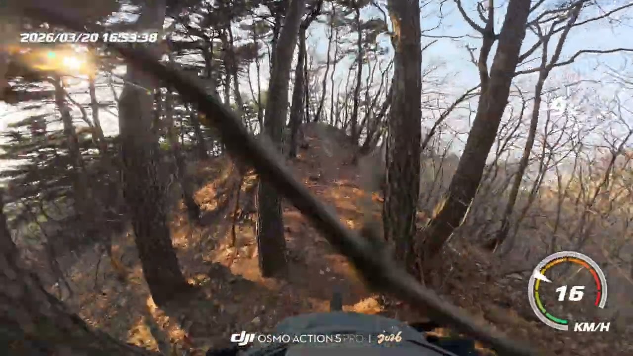 20260320 #망향봉 #오후2차전 #낙차 #말많음주의