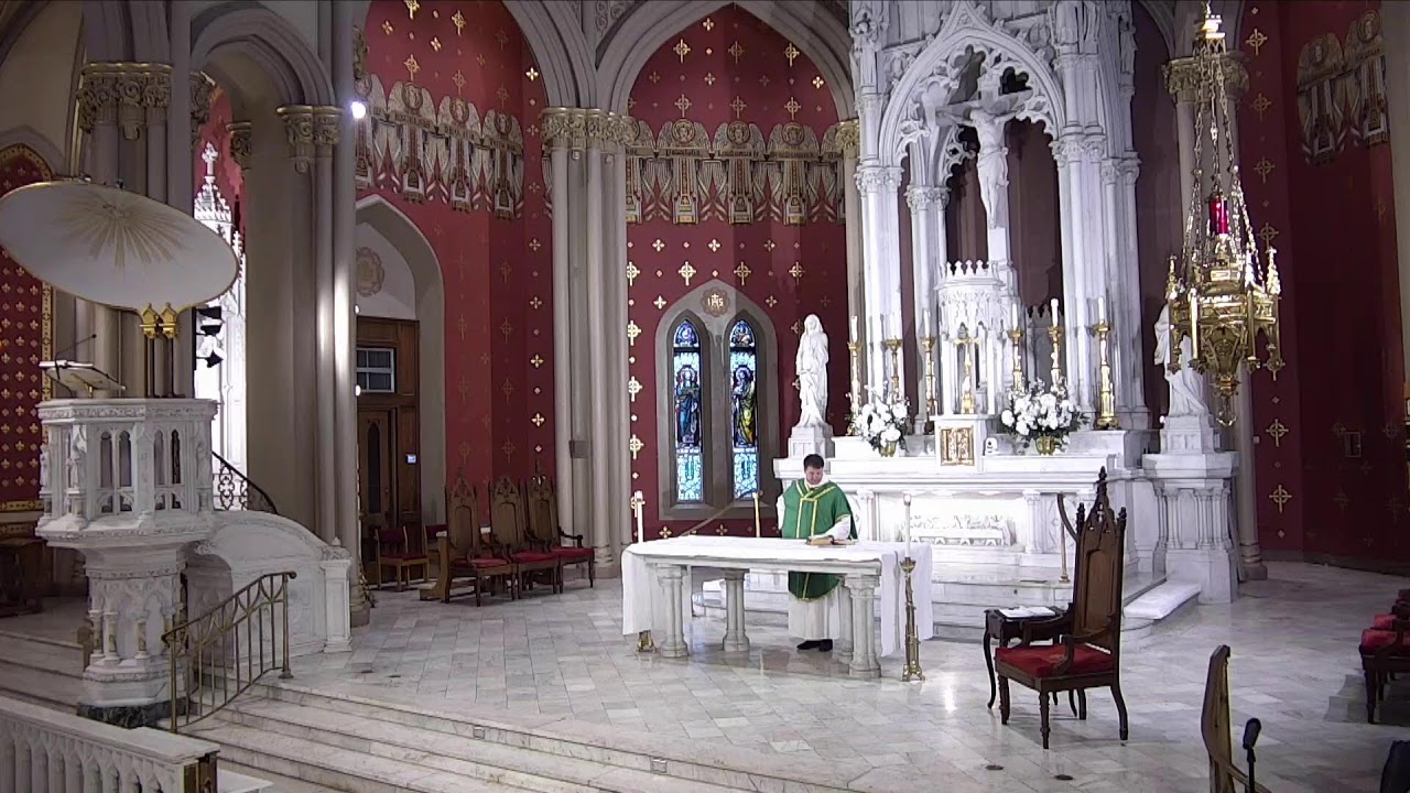 2026 0209 HNJ Daily Morning Mass - Monday of the Fifth Week in Ordinary Time