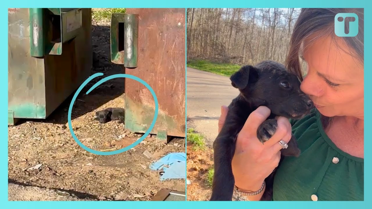 Rescuer Saves 'Scared And Starved' Puppy Abandoned And Left Next To Dumpster Weighing Just One Pound