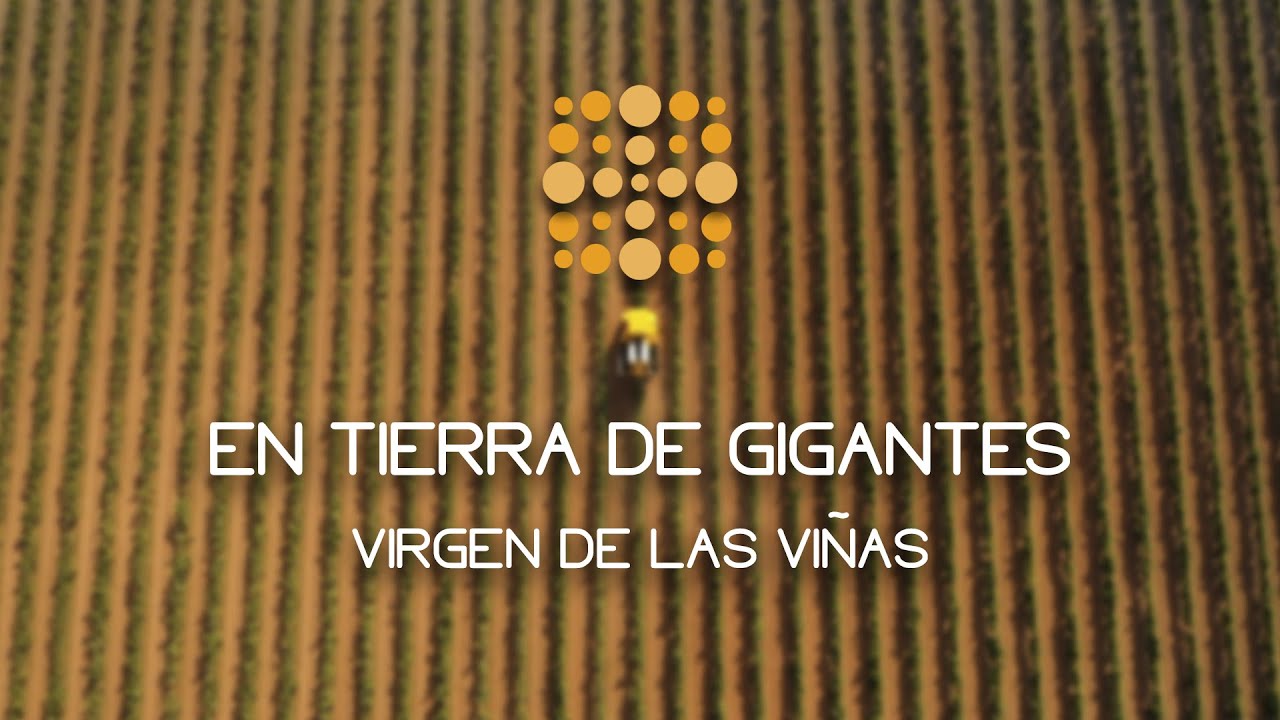 EN TIERRA DE GIGANTES - COOPERTIVA VIRGEN DE LAS VIÑAS