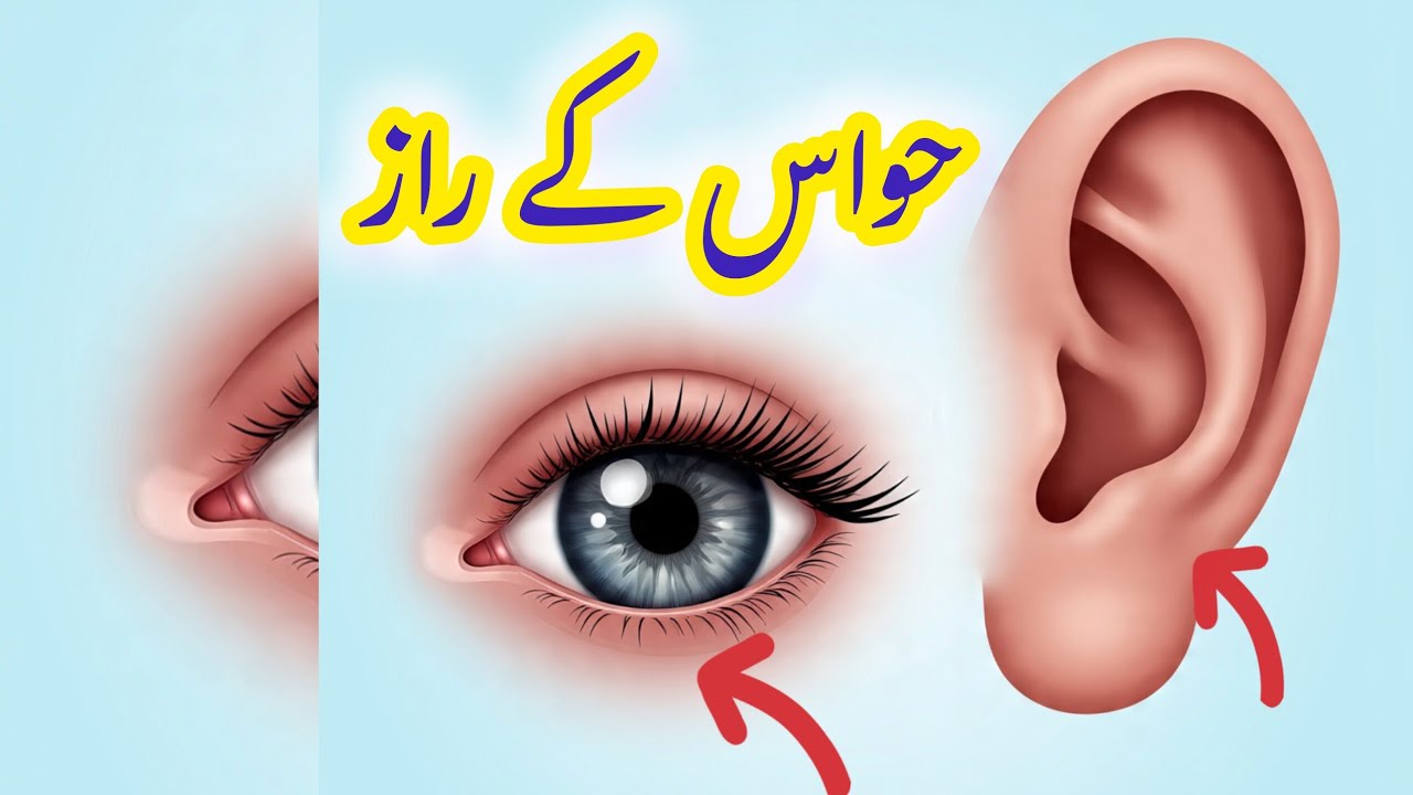 آنکھ اور کان کی حیران کن حقیقتیں