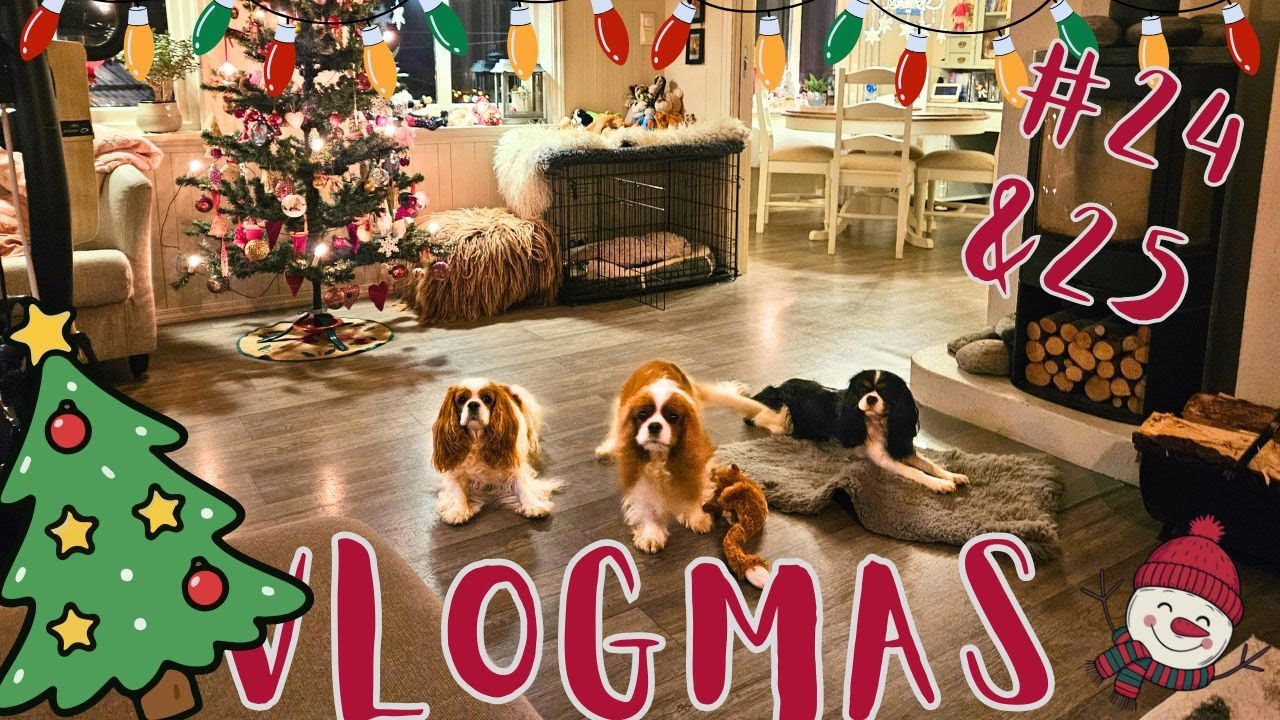 VLOGMAS 24 и 25 Уютный сочельник в Норвегии и тихие моменты у моря