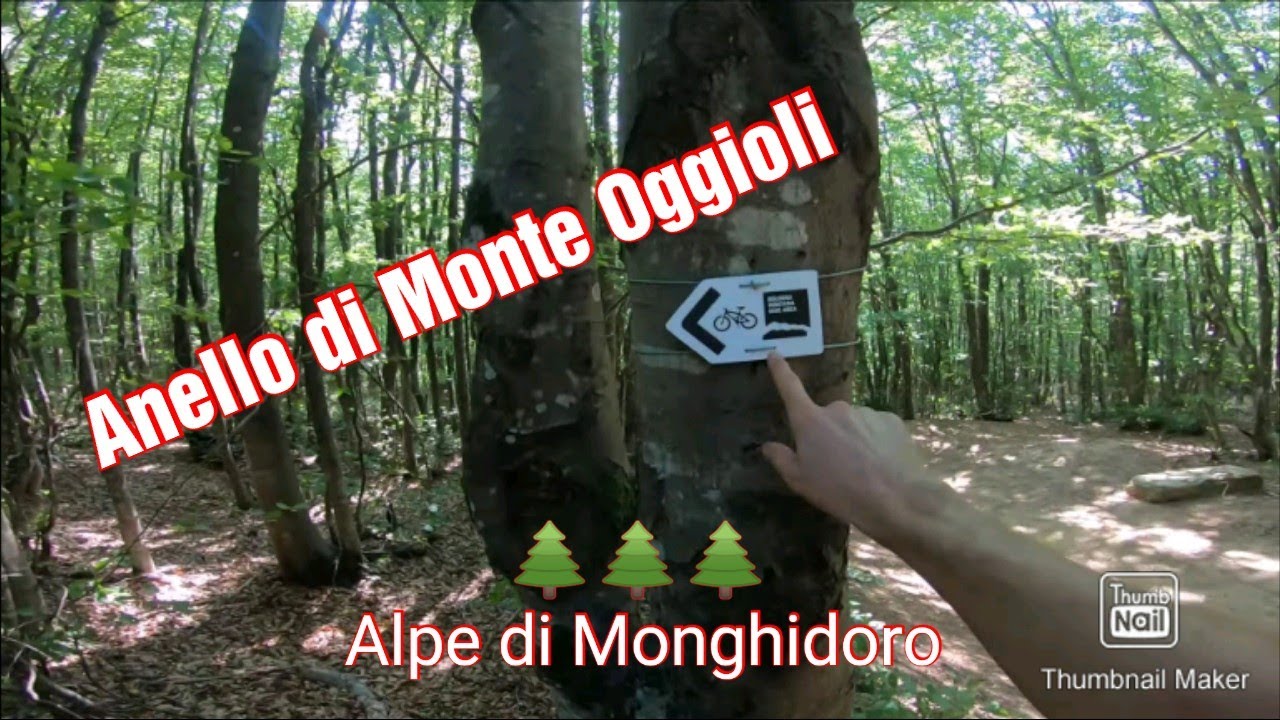 Anello Monte Oggioli - Alpe di Monghidoro - MTB Bologna