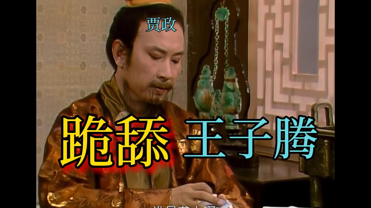 《红楼梦》中译中 203 贾政：怕老婆、跪舔王子腾，虚伪至极