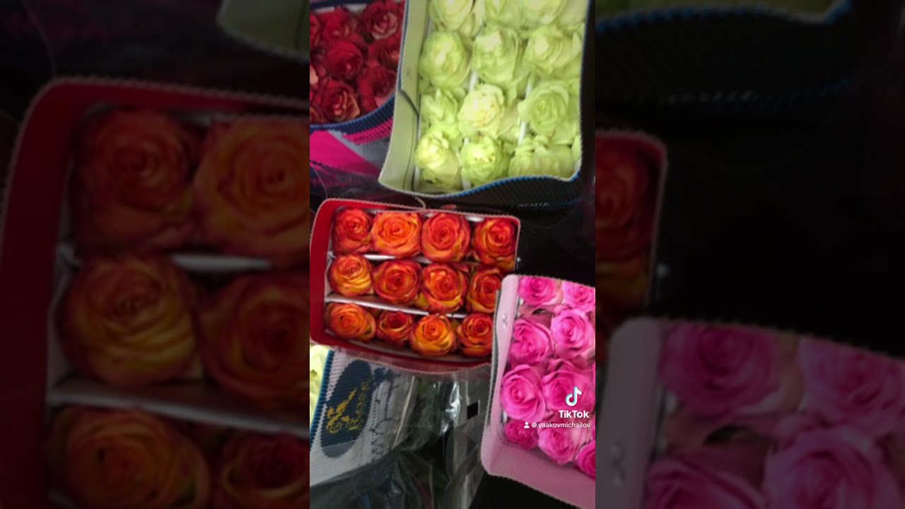 #wholesale #retail #bulk #flowers #tiktok tel:6462089995