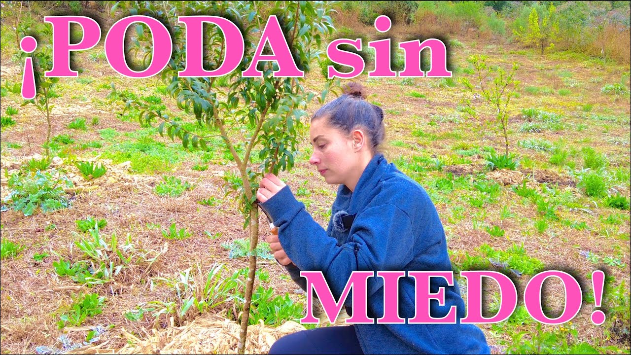 Poda sin Miedo: Por Dónde Empezar