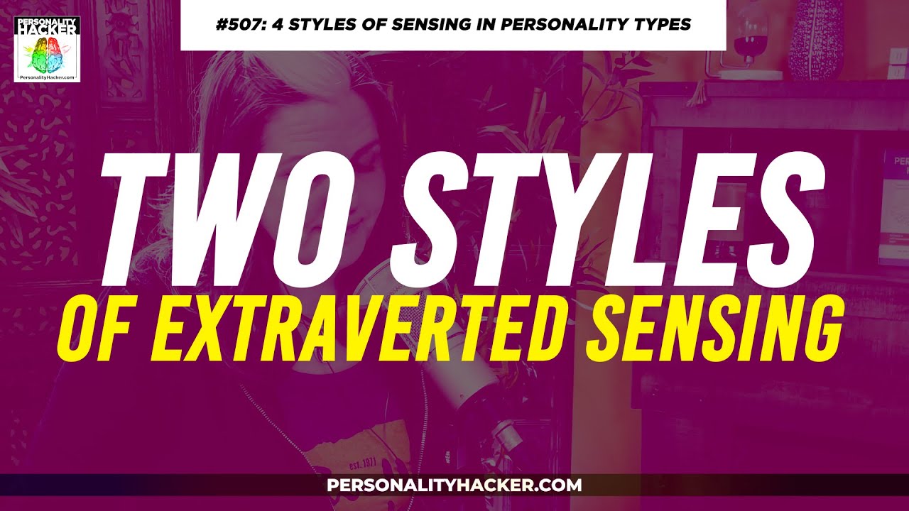 16 Personalities: 2 Styles Of Extraverted Sensing | From 507 | PersonalityHacker.com